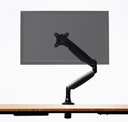 Meri Standing Desk + free monitor arm 
