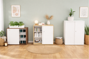 Buronomic sliding door cabinet